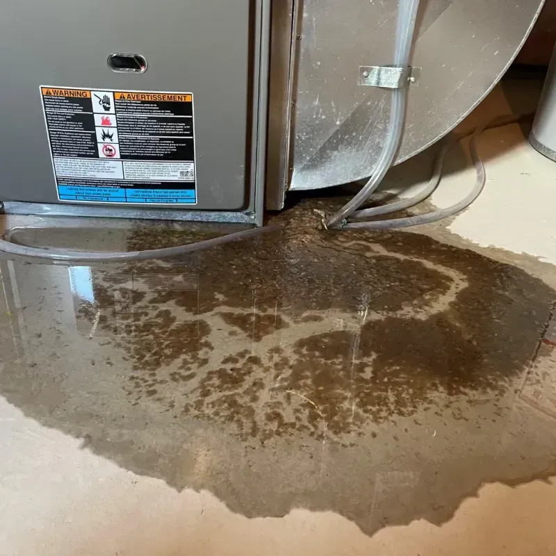 Appliance Leak Cleanup in Florence, KY